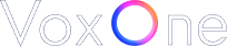 VoxOne